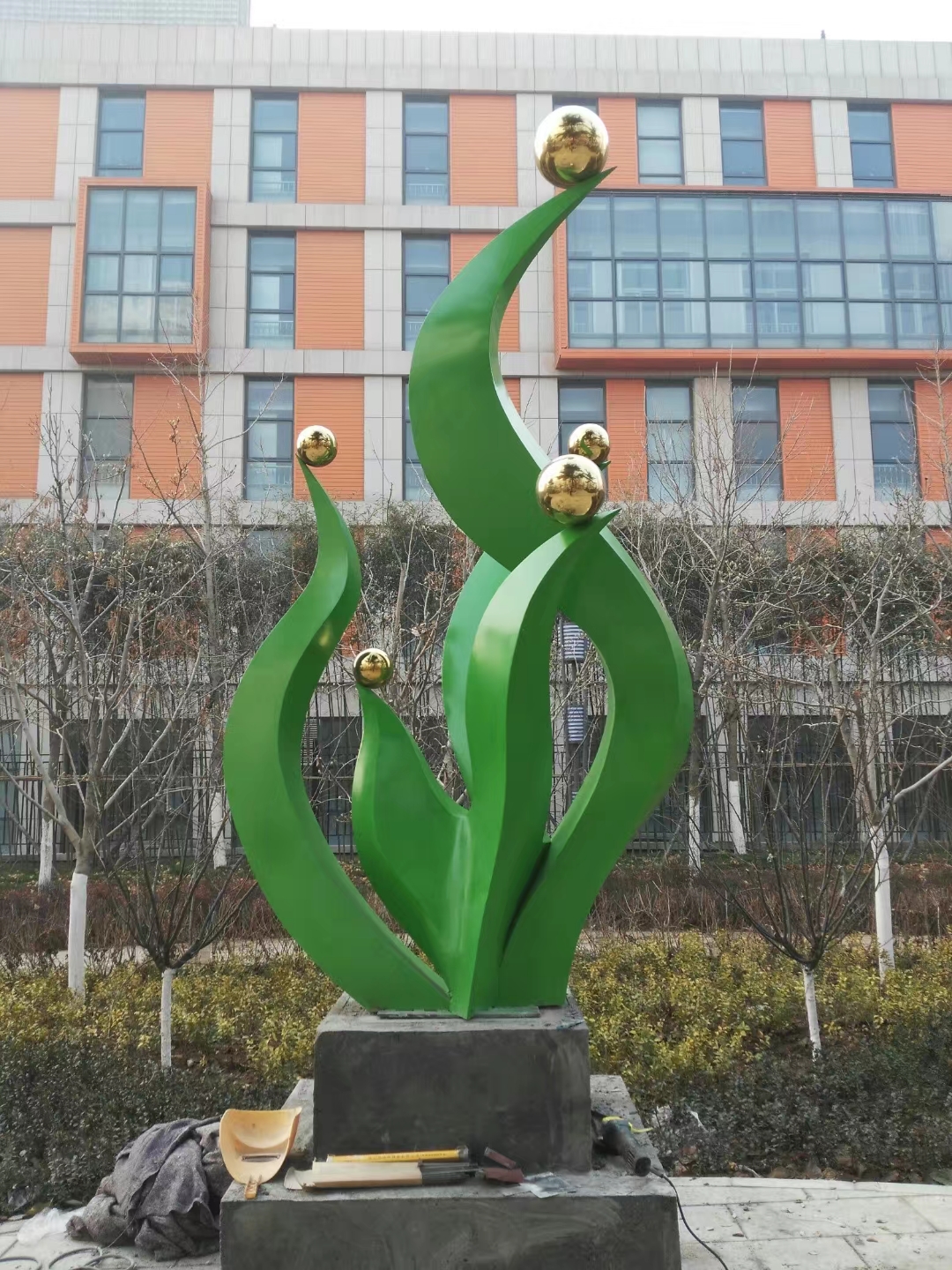 图片